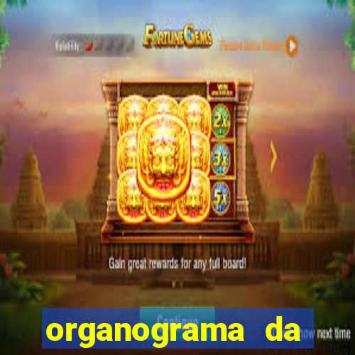 organograma da cacau show